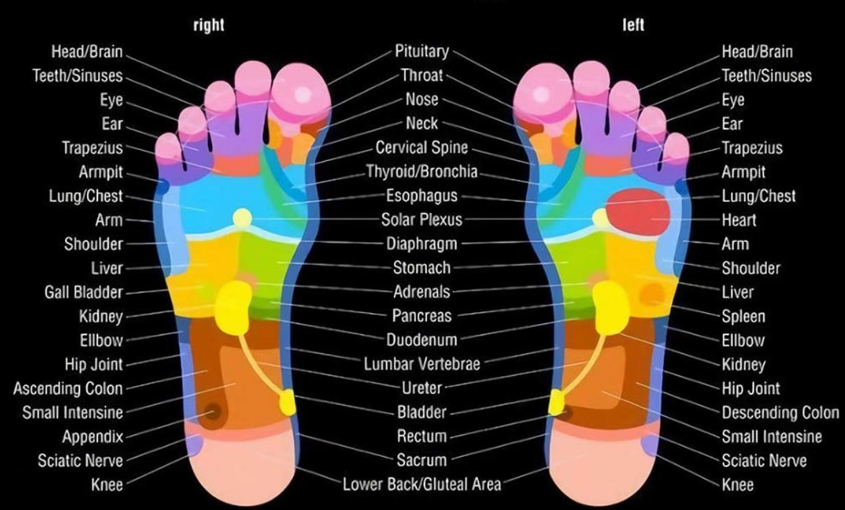 Foot Reflexology Chart