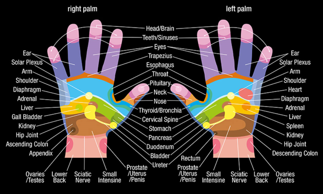 Hand Reflexology Chart