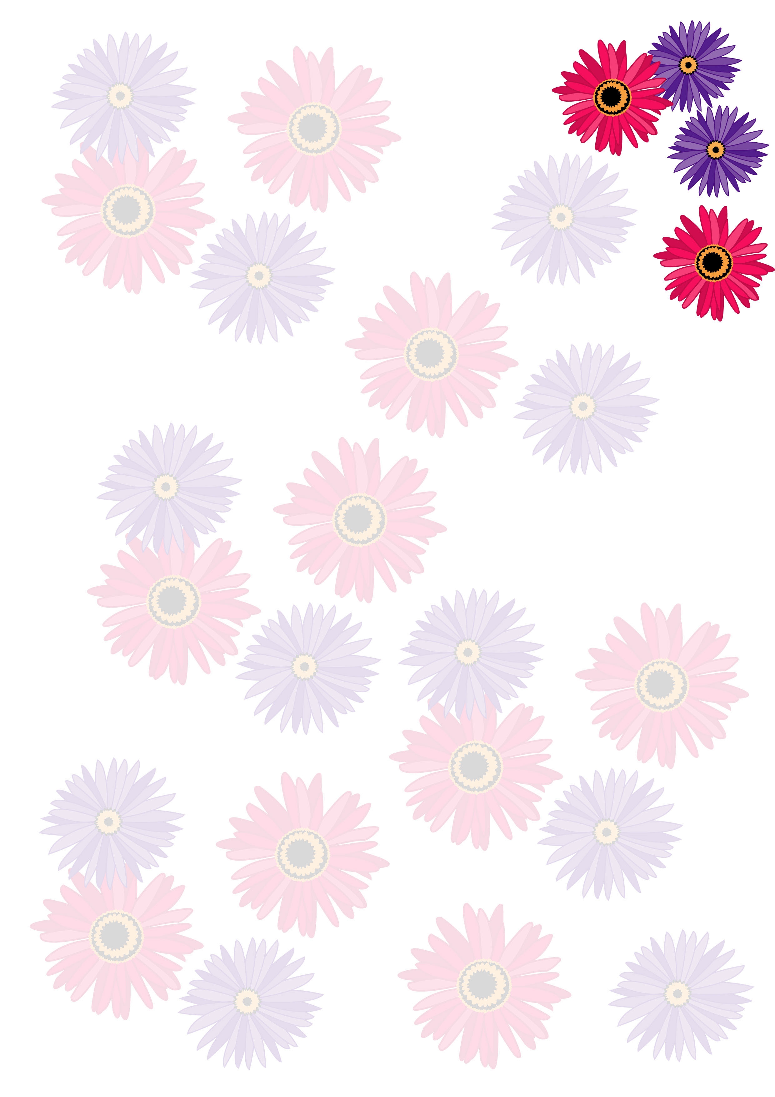 Daisies