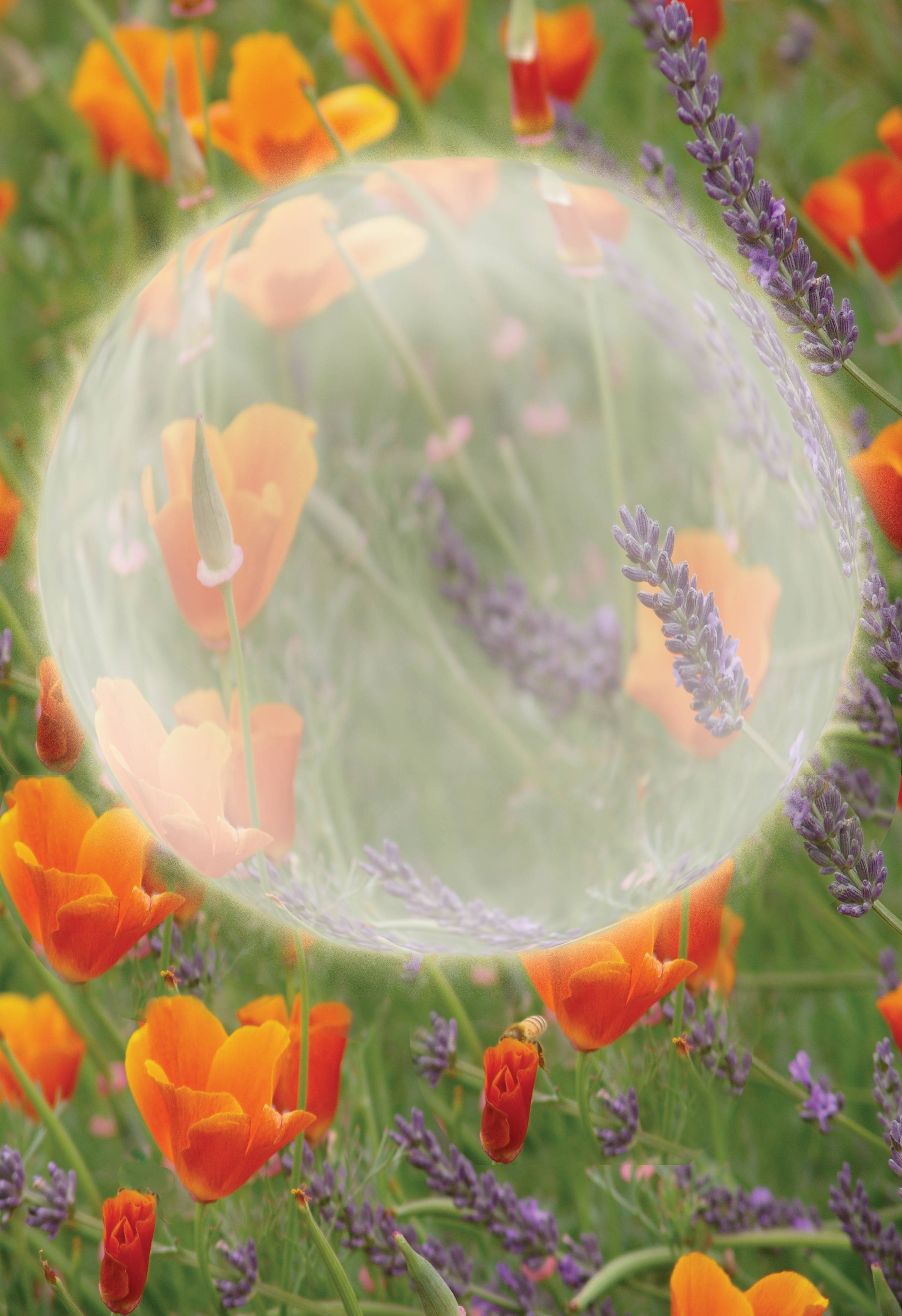 Earth Frame