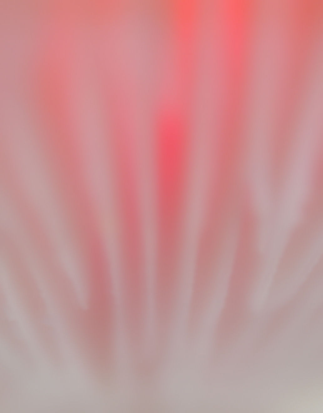 Shellflame