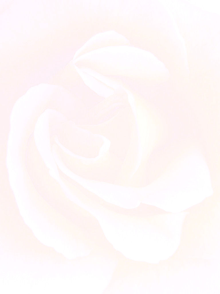 Whiterose