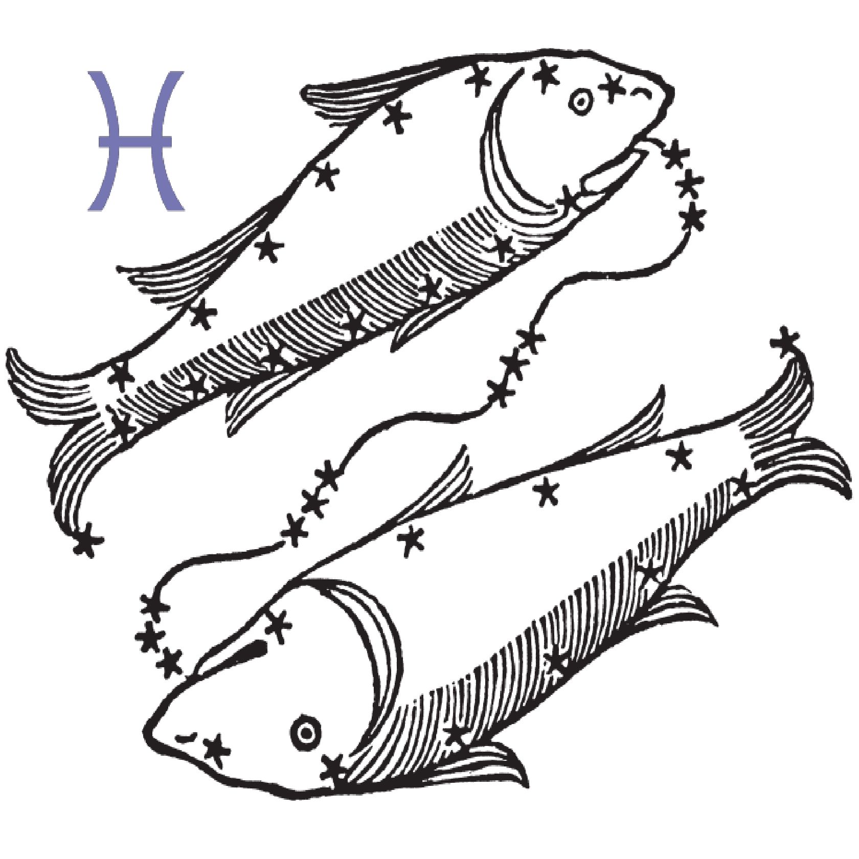 Z 12pisces